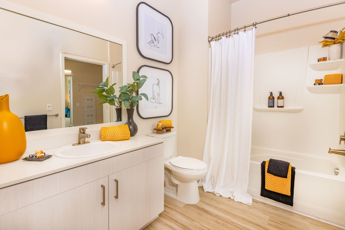 Apartments for Rent in Sacramento Solasta Photo Gallery